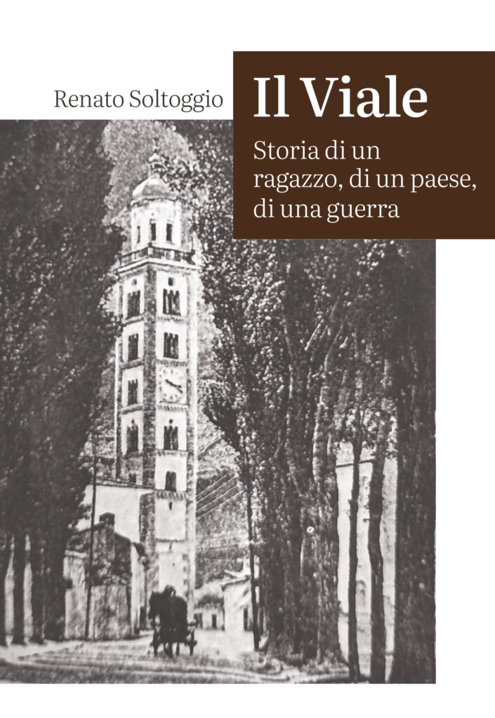 Copertina del romanzo "Il Viale"